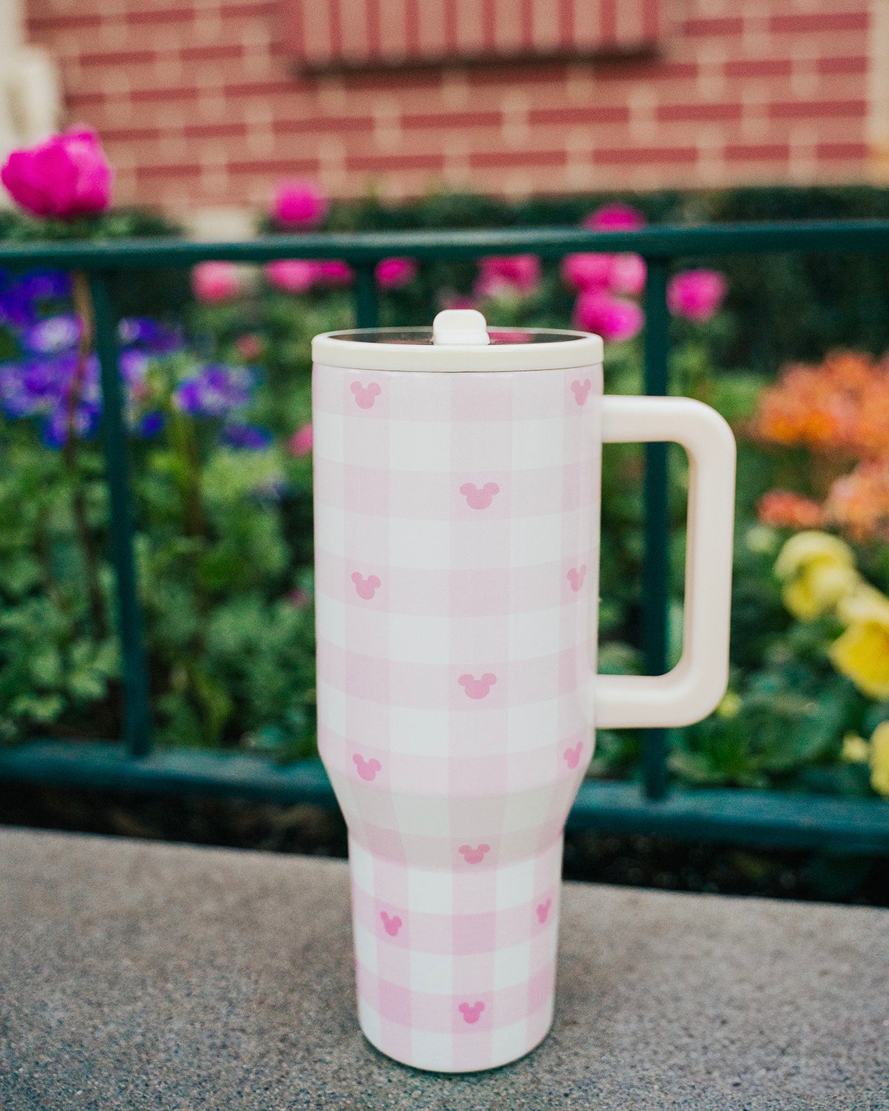 Pink Gingham Tumbler (40 oz.)